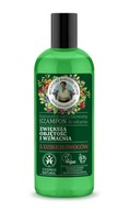 BANIA AGAFII szampon 5 Dzikich Owoców 260ml