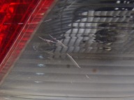 light rear rear part right TOYOTA YARIS 2 II 3D (K)