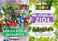 Atlas dzikich roślin + Atlas ziół