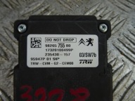 PEUGEOT 3008 II KAMERA ASYSTENT stěny 9826575580