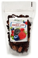 HERBATKA OWOCE LASU 100G / HERBAPOL KRAKÓW