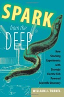 Spark from the Deep: How Shocking Experiments