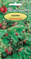 !Poziomka - Baron von Solemacher 0,2g Legutko