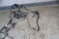 wiring bundle door left front 6V0971120CD EUROPA SKODA FABIA III