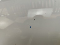 Capot OPEL MOKKA A (2012-2016) KOD LAKIERU GAZ