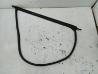 TESLA MODEL 3 LIFT 2024 HIGHLAND gasket windows right front