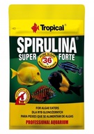 TROPICAL Super Spirulina Forte pokarm dla pielęgnic saszetka 12 g