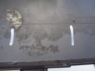 front bumper SKODA KODIAQ 565 17- NR 52266