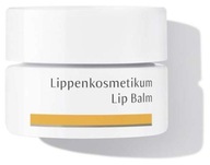 DR. HAUSCHKA LIP BALM BALZAM NA STAROSTLIVOSŤ O PERY