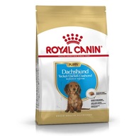 Royal Canin Dachshund Puppy suché krmivo pre psov plemena jazvečík 1,5 kg