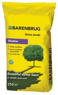 Trawa Barenbrug Shadow do cienia 5kg Shadow&Sun nasiona traw 250m2