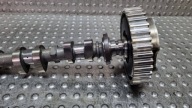 Arbre à cames d’échappement WARIATOR E3BG-6C525-BA FORD FOCUS MK3 1.0 ECO M1DD