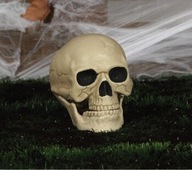 Czaszka dekoracyjna 20cm Halloween Horror CZACHA