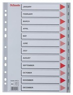 Registra, šedá, A4, plast, Jan-Dec, ESSELTE