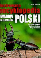 ilustrowana encyklopedia owadów i pajęczaków Polski Grabowski