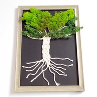 Obraz z mchem A4 Drzewo życia chrobotek dekoracja ścienna z ramką