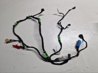AUDI A6 C6 A6C6 bundle wiring BOCZKA door left front 4F1971035J