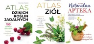 Atlas dzikich roślin + Atlas ziół + Naturalna apteka