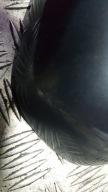 AUDI A4 B6 mirror right front 5 PIN