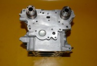 head. of the engine left AUDI A6 C5 A4 B6 3.0 V6 ASN SPLANOWANA