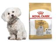 Royal Canin Suché krmivo Maltézsky Maltese Adult 1,5kg