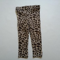 H&M legginsy jegginsy w cętki j.nowe__92cm