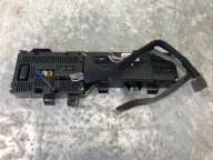 dials display RENAULT SCENIC III 248104550R
