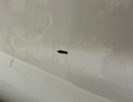 BENTLEY CONTINENTAL GT rear bumper 3SD807511