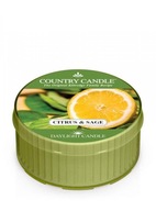 Daylight sviečka Citrus and Sage Country Candle