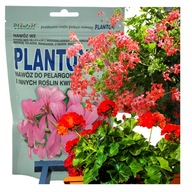 Nawóz do roślin kwitnących: pelargonii, werben, begonii Planton K 200g