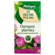 OSTROPEST HERBATA EKSPRESOWA HERBAPOL 20 TOREBEK