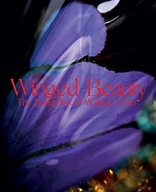 Winged Beauty: The Butterfly Jewellery Art of