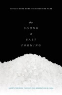The Sound of Salt Forming: Short Stories by the