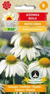 Echinacea biela White Swan, ECHINACEA