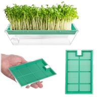 CSÍRÁZTATÓ CSÍRA MAG TERMESZTÉS ZSÁZSA CSÍRÁZTATÓ EDÉNY MAG