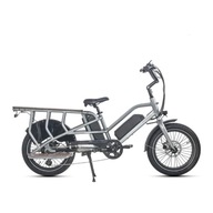 Elektrobicykel CARGO Jobobike Transer, koleso 20 " šedá 250 W