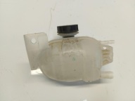 Ford Mustang Mach-E serbatoio LIQUIDO radiatore LJ93-8A080-AB