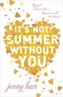 It s Not Summer Without You: Book 2 in the Summer