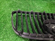 grill grille radiator KIA PICANTO and NR.215
