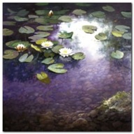 Waterlilies 1 / Joop Smits - plakat obraz 30x30cm