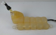 Ford F150, 15-20 serbatoio LIQUIDO Expansion