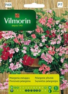 Pelargónia previsnutá 5 semien Vilmorin