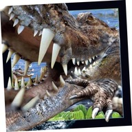 Pohľadnica 3D Krokodíl