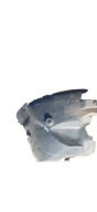 SPRINTER CRAFTER 906 mudguard left front A9066841277