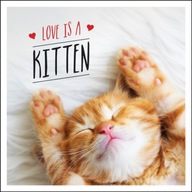 Love is a Kitten: A Cat-Tastic Celebration of the