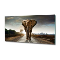 Sklenený obraz na stenu Prechádzkový slon
