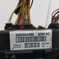 modulo BSM PEUGEOT 307 9650664080