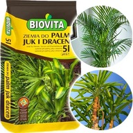 ZIEMIA PODŁOŻE DO PALM JUK I DRACEN 5L BIOVITA