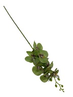 Orchidea vetvička 85 cm zelená