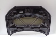 bonnet AUDI Q3 8U 8U0 11- NR 51631